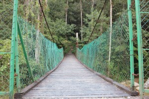Cameron Highlands-007